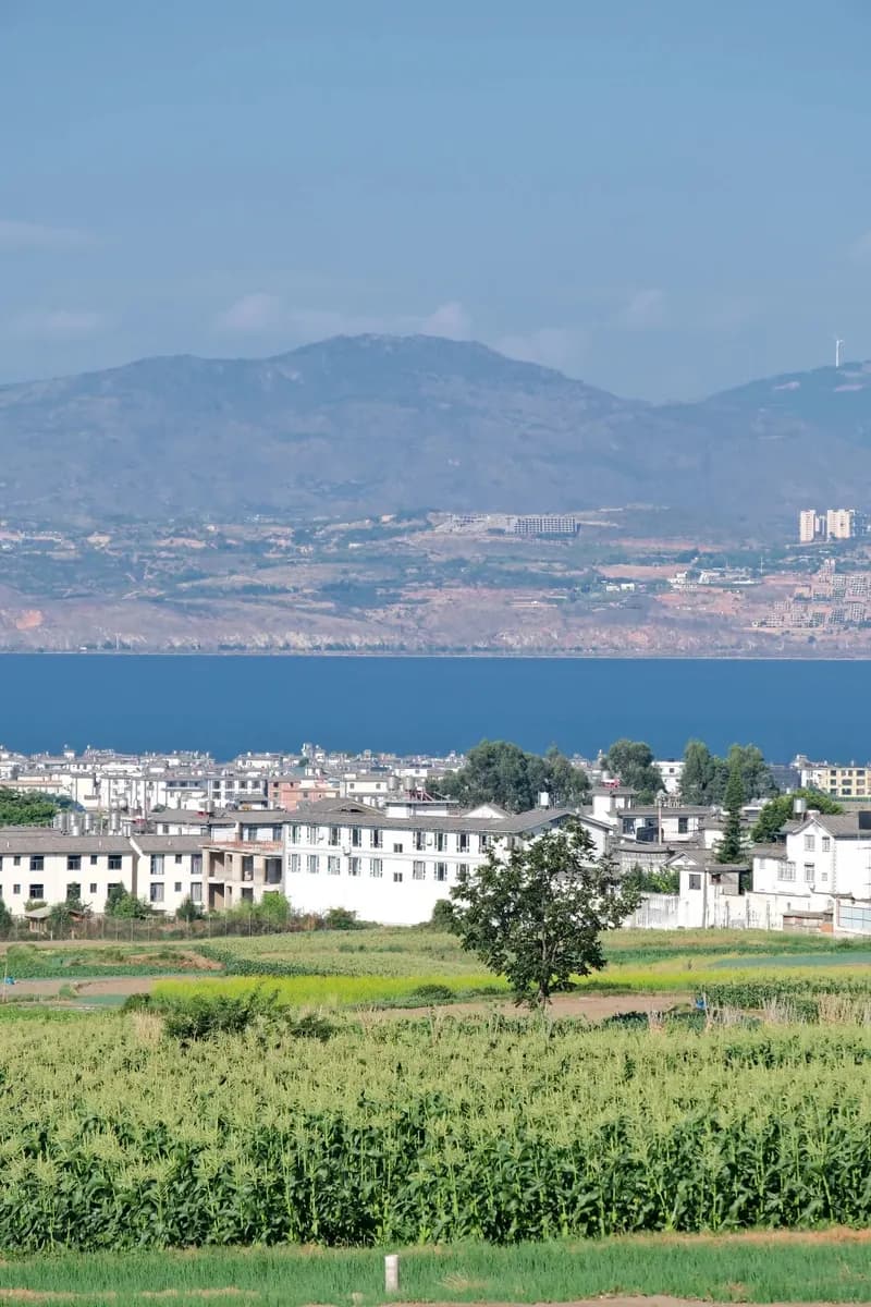Bai village fields beside Erhai Lake with Cangshan across the water