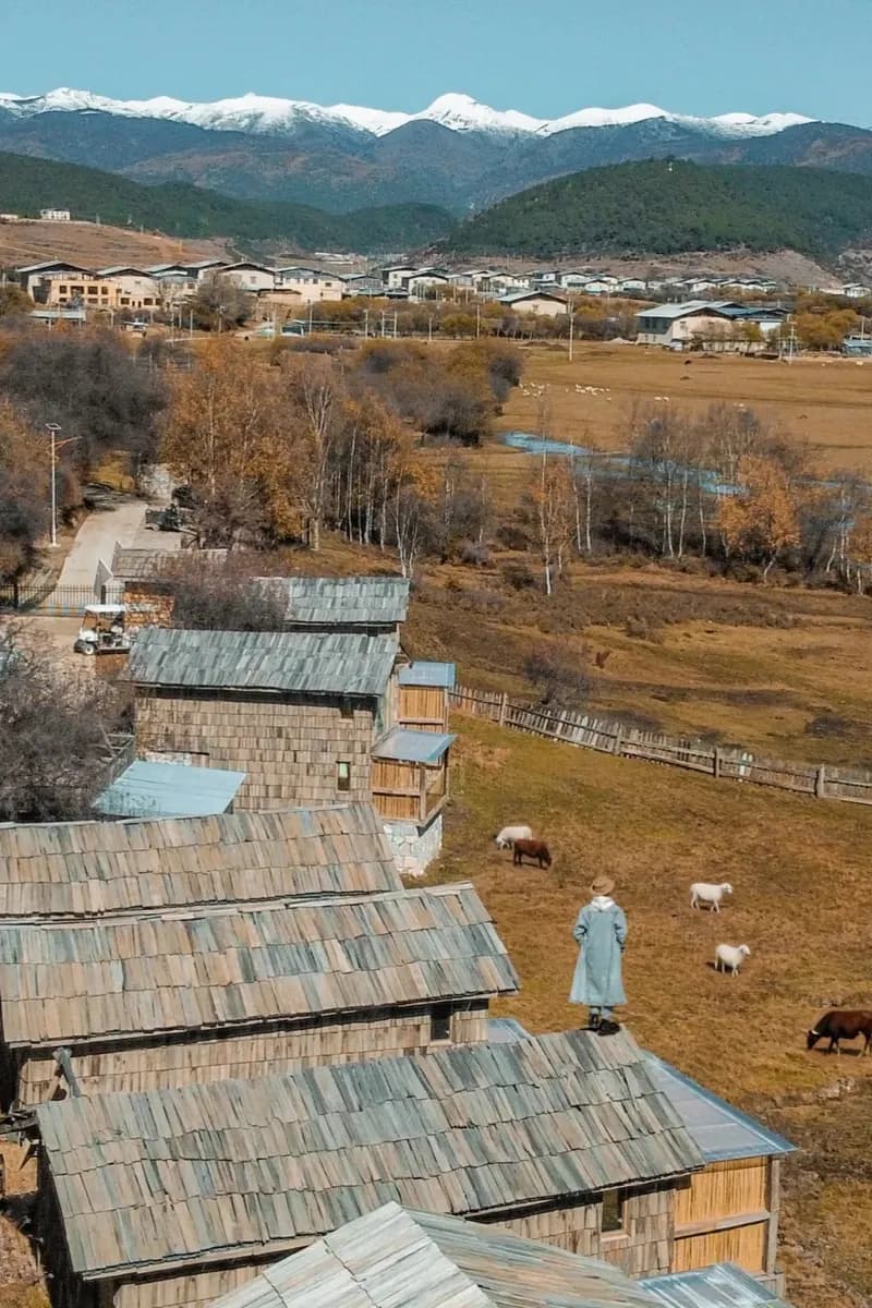 Wooden village roofs and yellow autumn trees under snow peaks near Shangri-La
