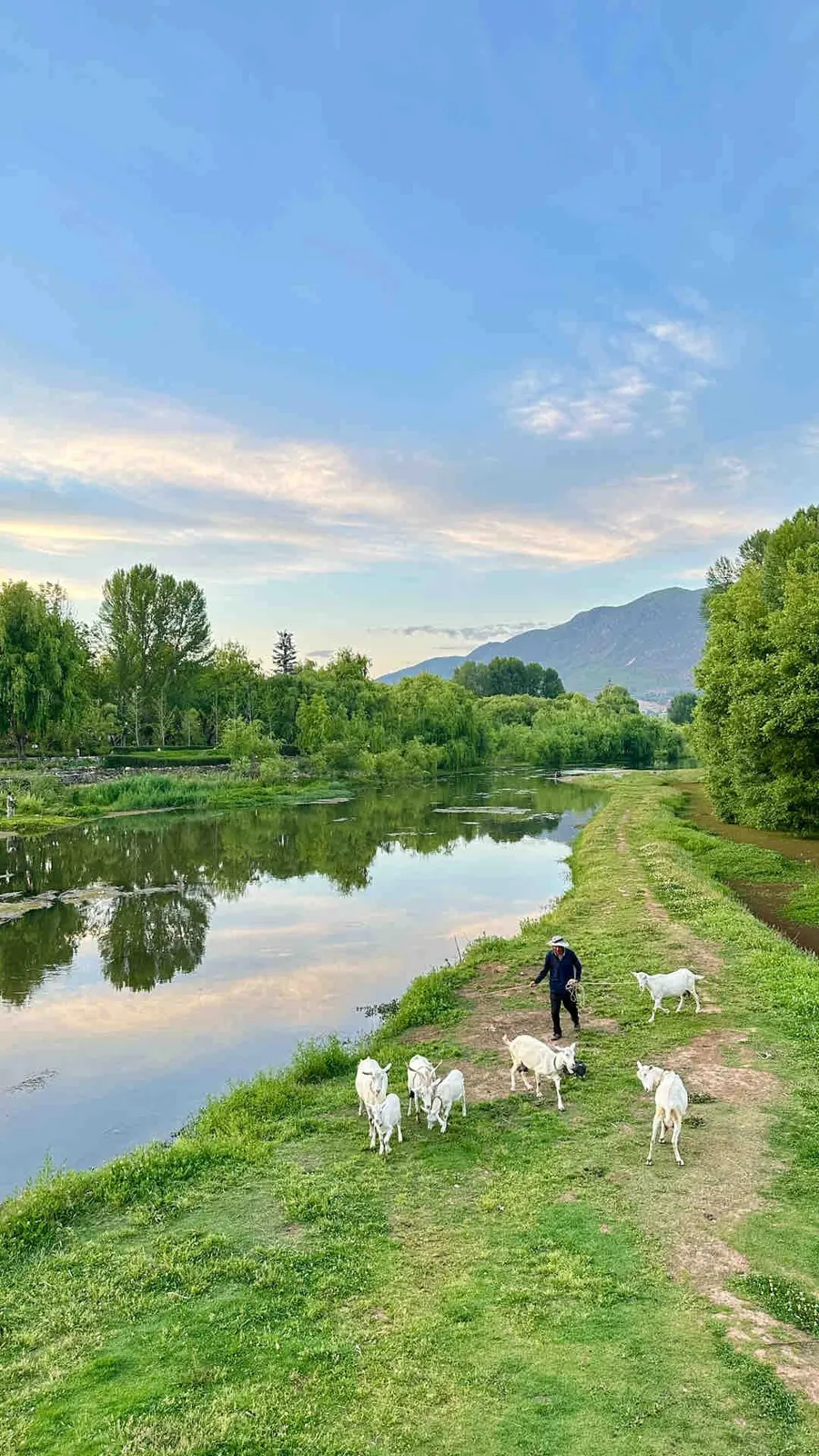 A quiet riverside scene in Shaxi