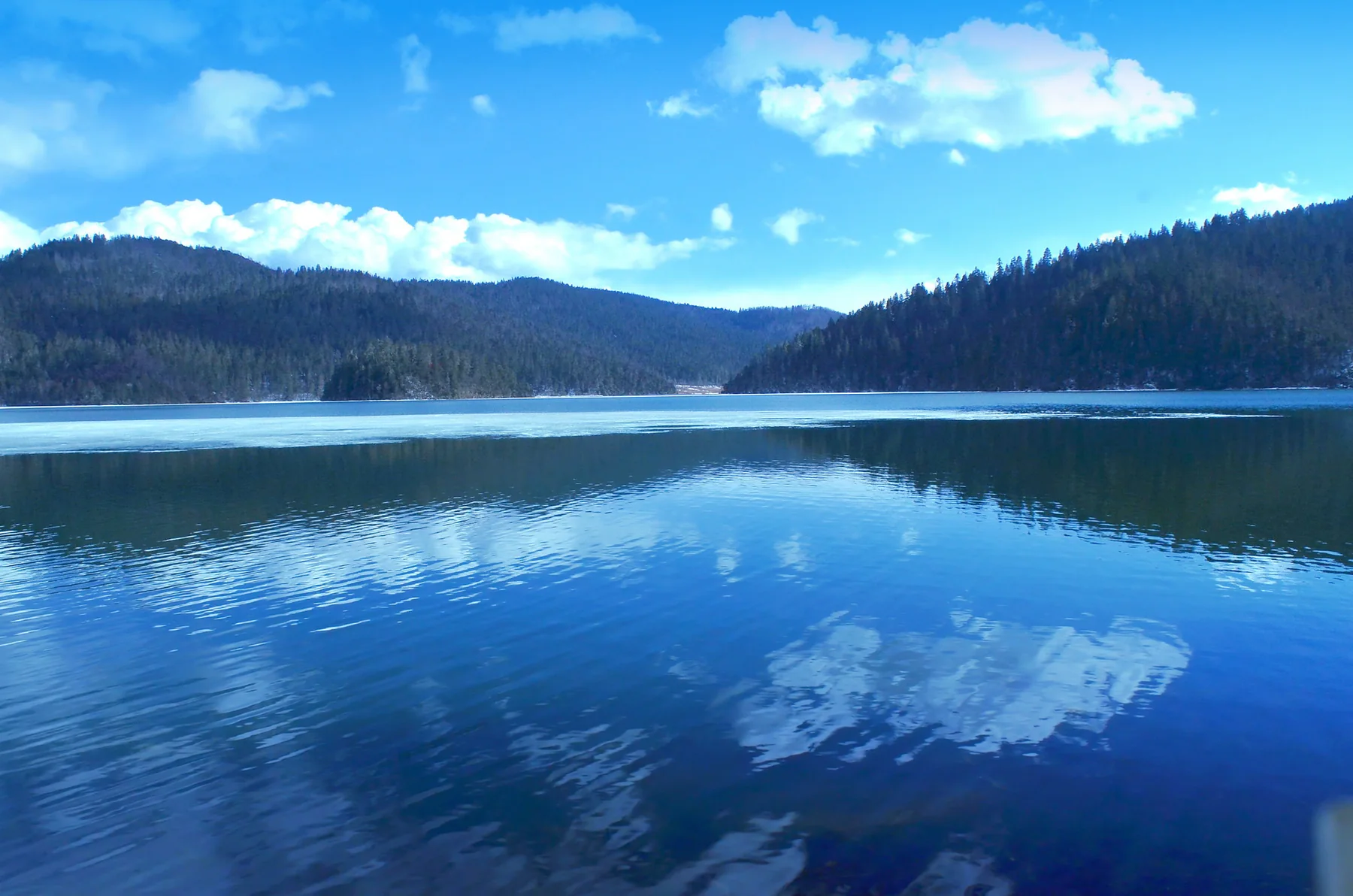 Lake and forest at Pudacuo near Shangri-La, Yunnan